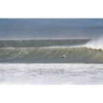 JBay Gull